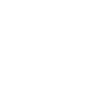 Volkswagen trusts us AnyChart