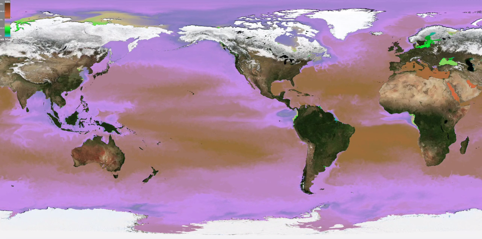 A Gyre of Salt: A Climate Model Data Visualization