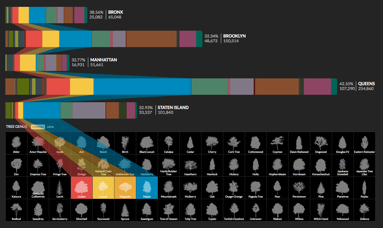 New York City street trees visualized interactively