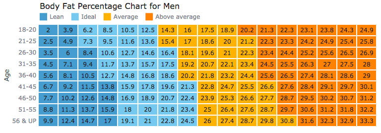 Heat Map chart of body fat percentage for data distribution visualization and analysis