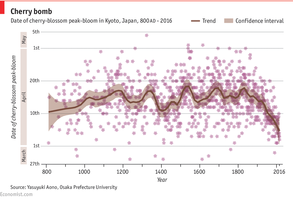 Climate Change Makes Japanese Cherry Blossom Bloom Earlier