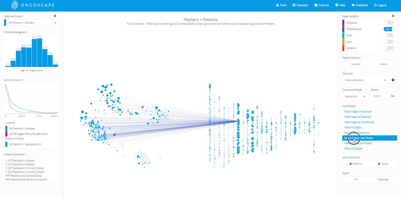 Oncoscape, Visualizing Cancer Data, Both Molecular and Clinical Information