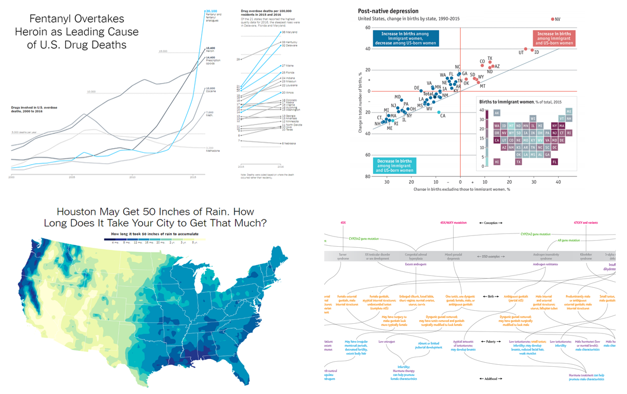 Peculiar Data Visualizations and Infographics in DataViz Weekly