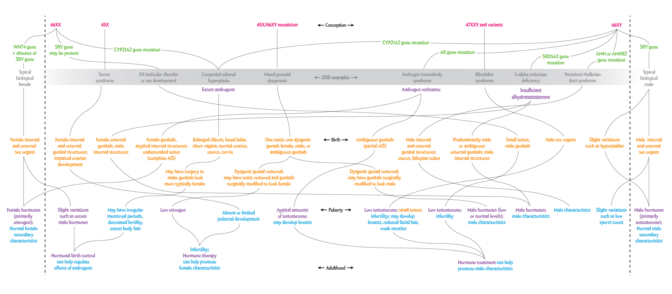 Sex Visualized As Spectrum