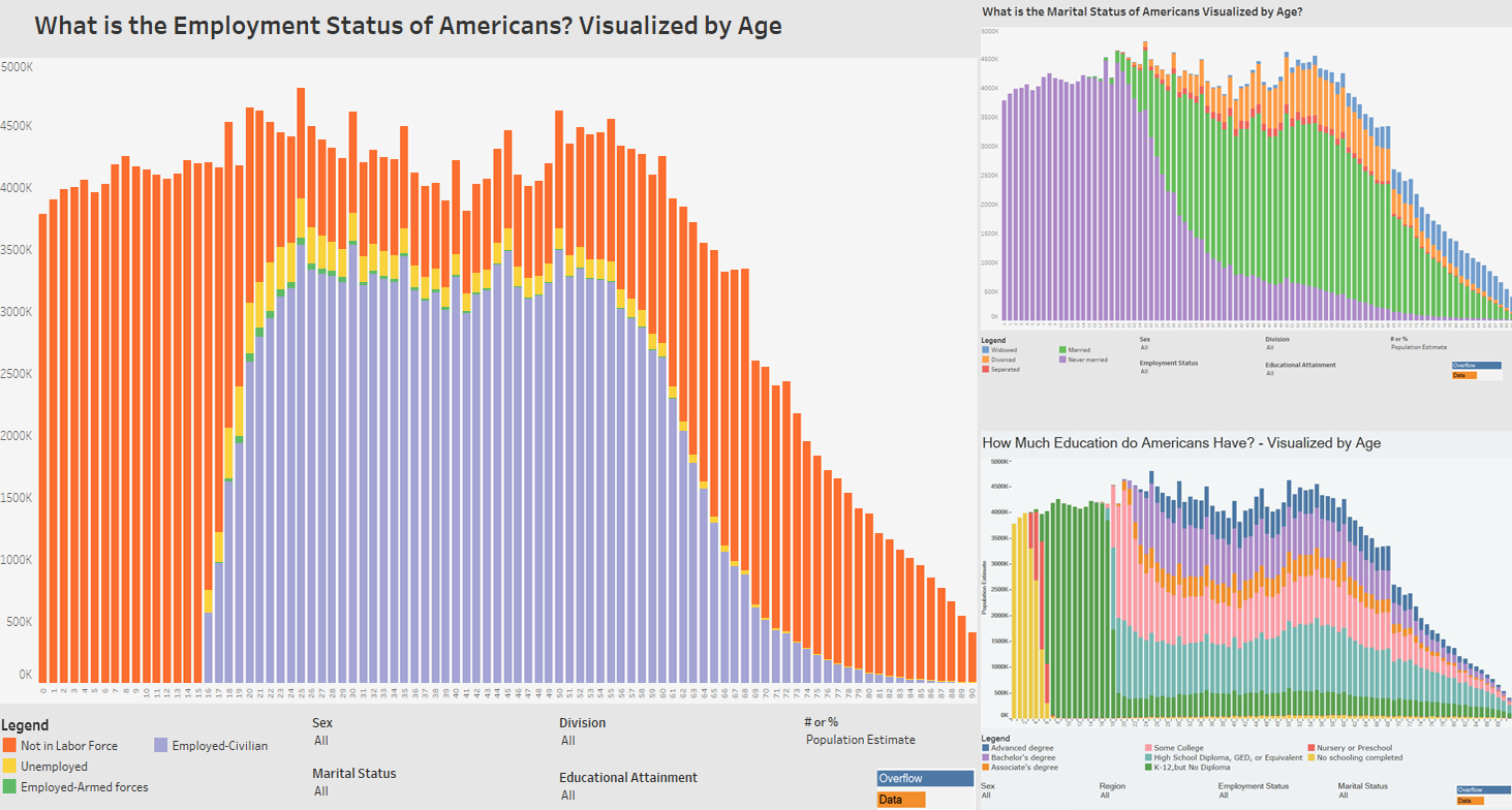 Charts Showing How US Citizens Differ by Age