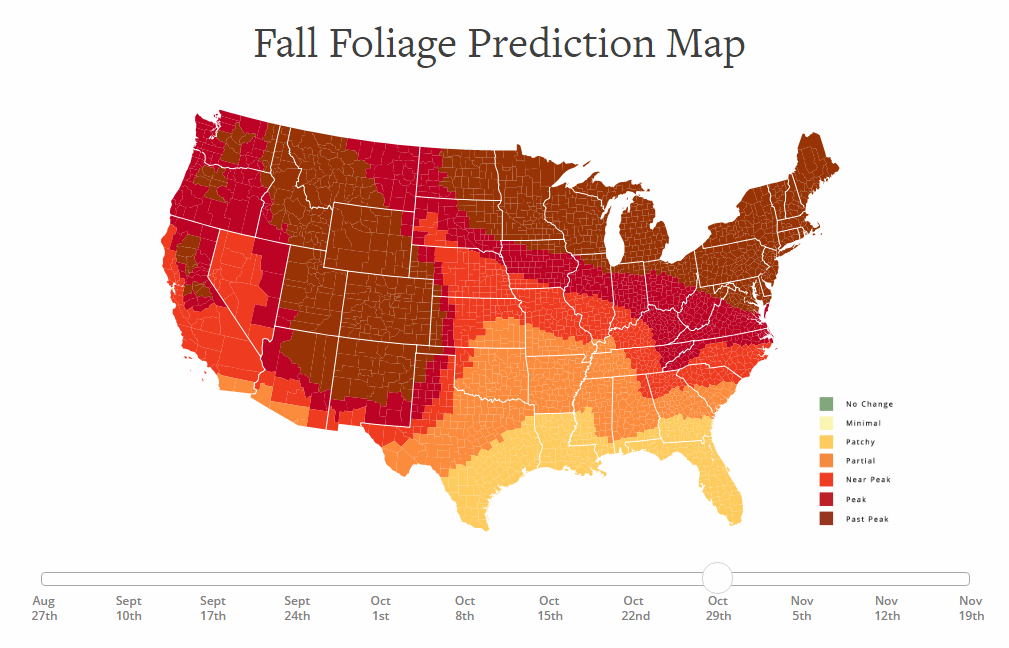 U.S. Fall Foliage Prediction Map
