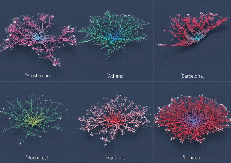 City Streets Visualized as Corals