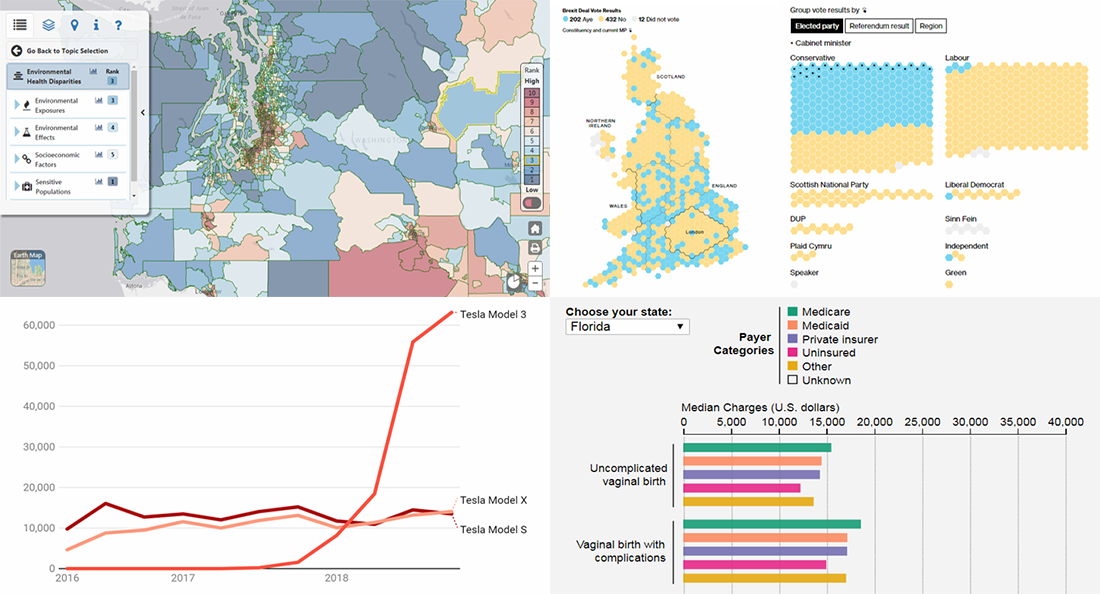 New interesting data visualizations about Tesla sales, Brexit vote, birth costs, health disparities, on DataViz Weekly