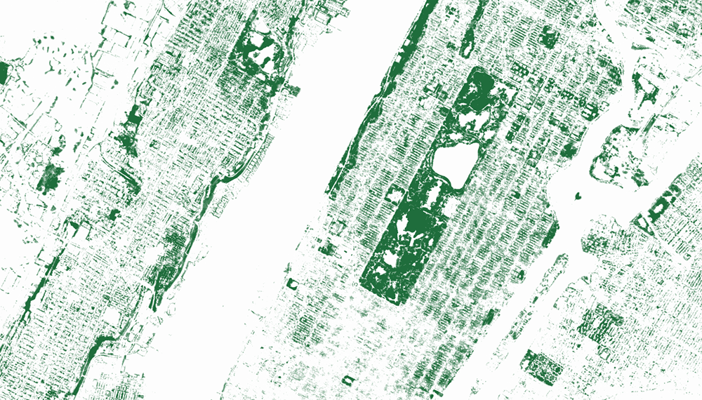 Mapping All Trees Worldwide Using Machine Learning