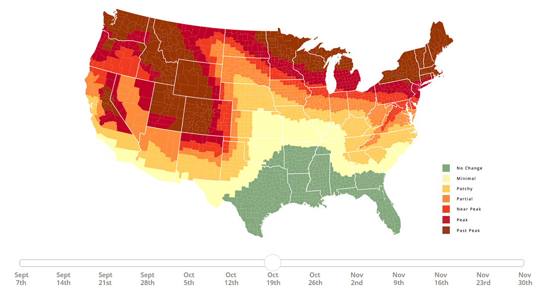 Peak Fall Foliage Color in U.S. in 2019