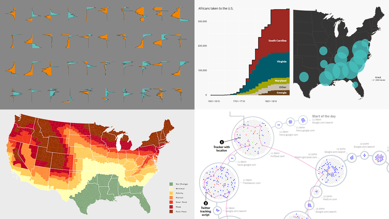 Stunning Data Visuals on Names, Slavery, Privacy, and Foliage — DataViz Weekly