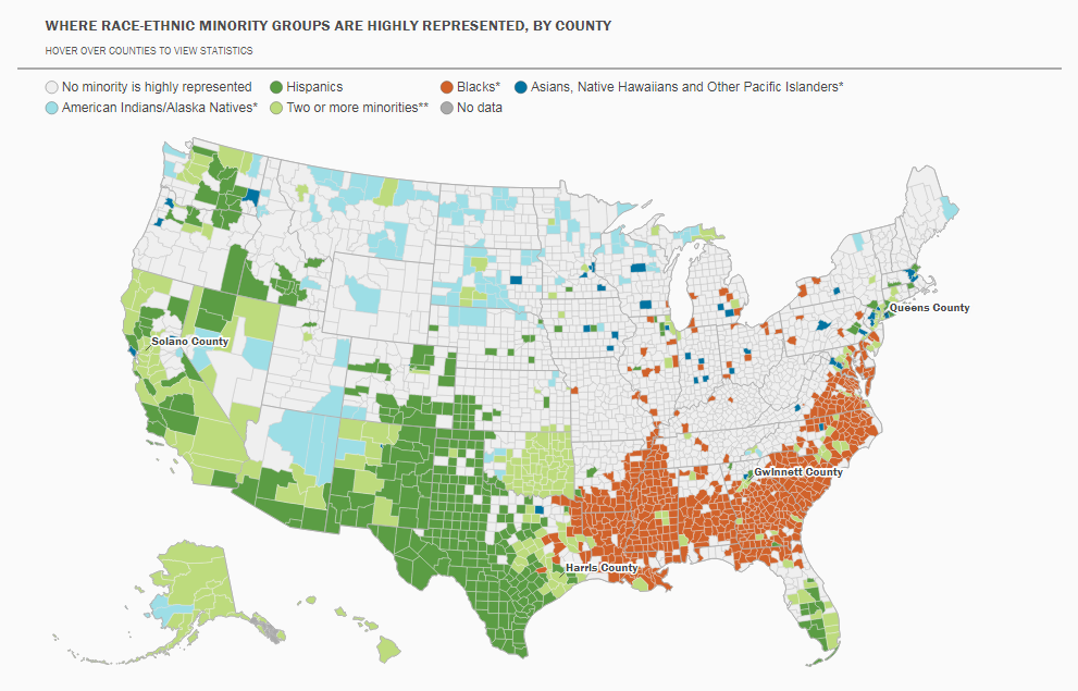 Racial Diversity in America