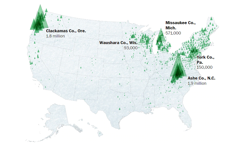 Where American Christmas Trees Grow