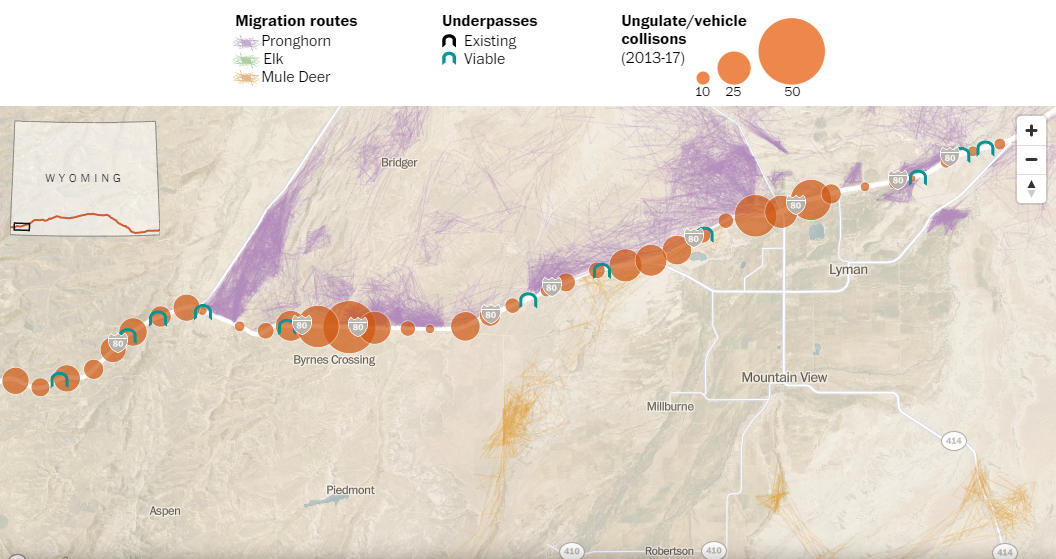 Wyoming Wildlife Corridors