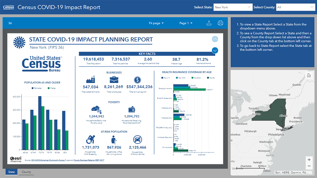 US Census Bureau COVID-19 Website