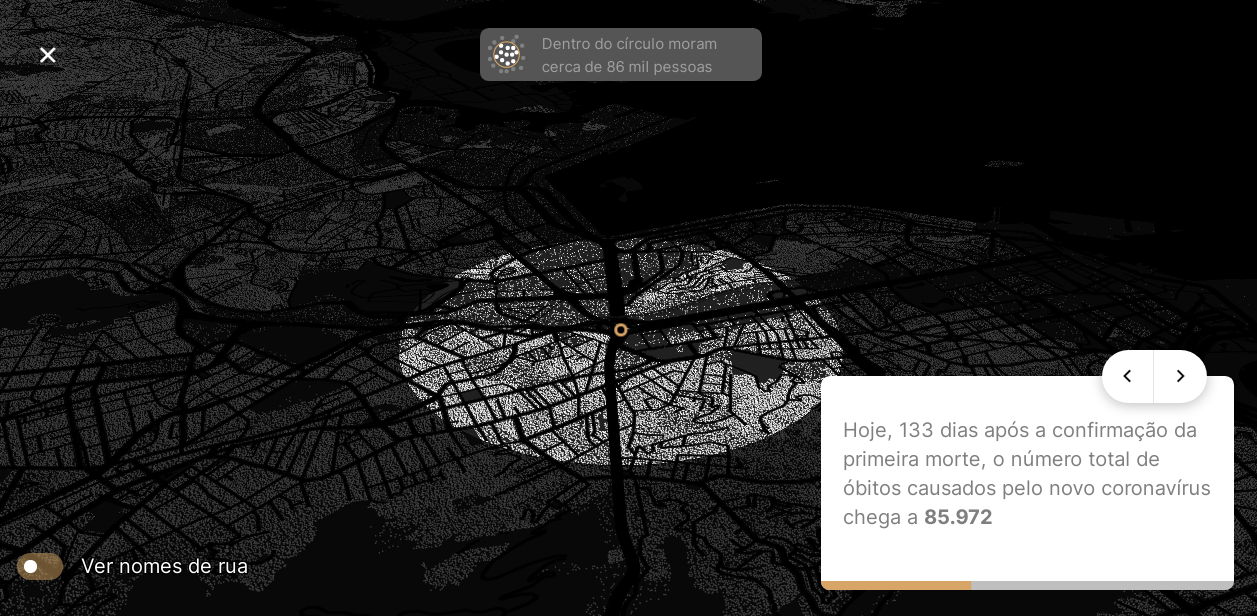 COVID-19 Deaths in Brazil