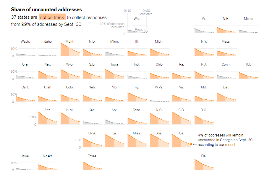 Census 2020 Undercounts and Their Consequences