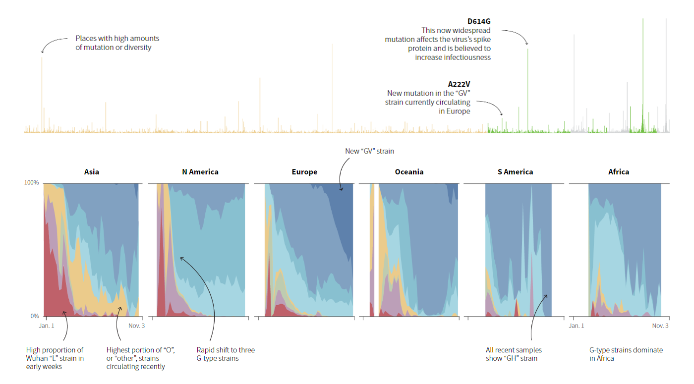 Novel Coronavirus Strains in Evolution Worldwide