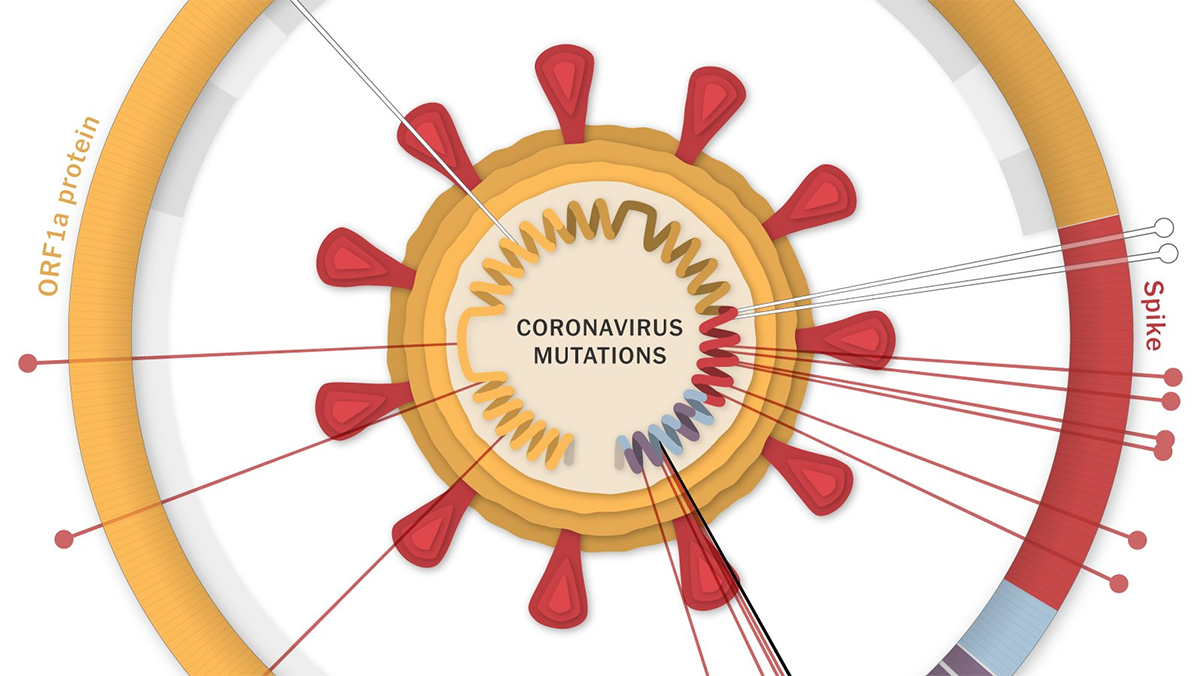 Coronavirus Mutations and Variants