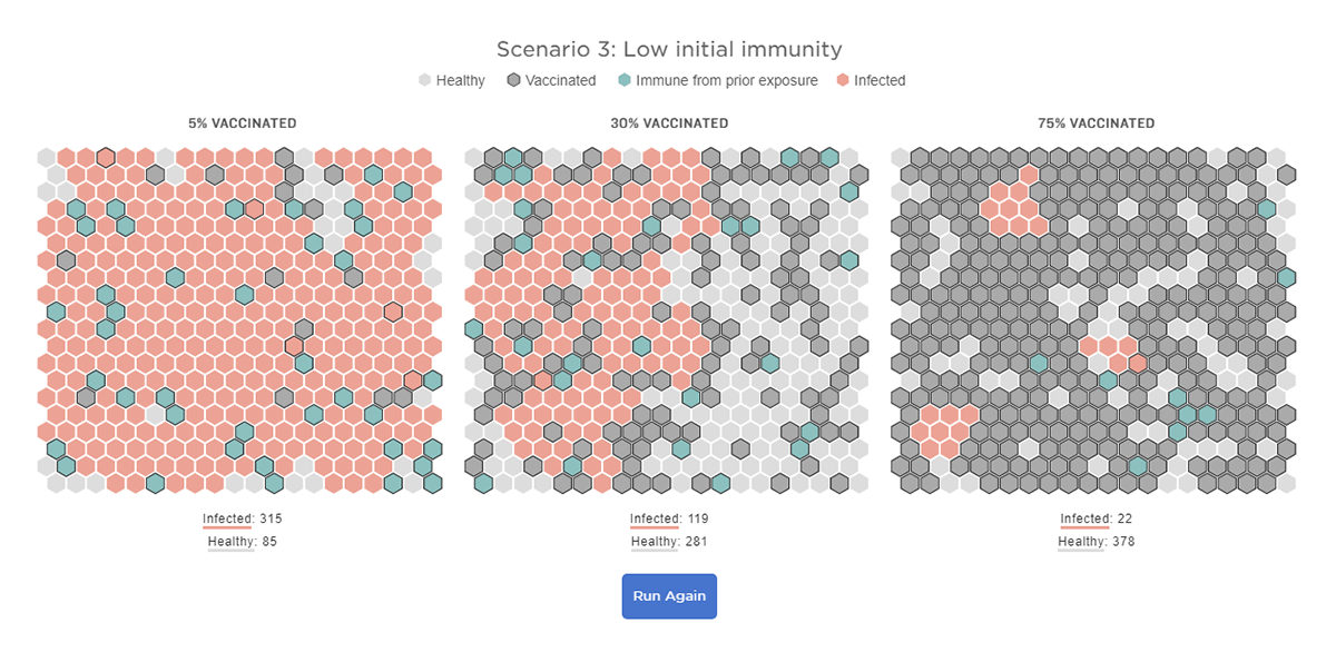 Infection Spread for Different Immunity Scenarios