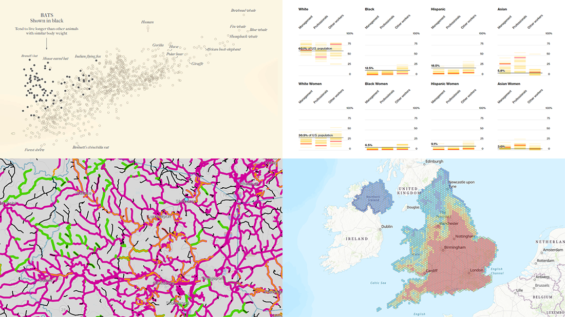 Recognizing Most Interesting New Data Visualizations on DataViz Weekly