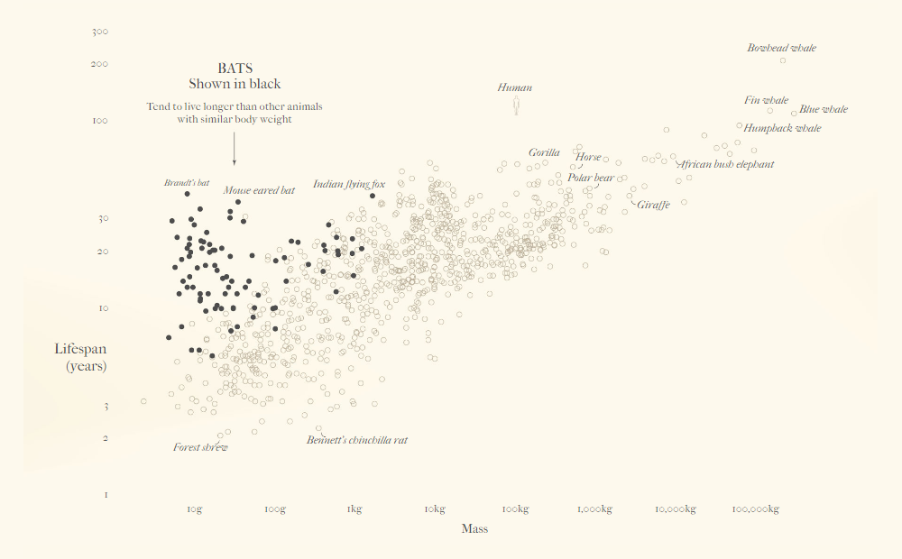 Data Visualization Based Story About Bats and the Origin of Virus Disease Outbreaks