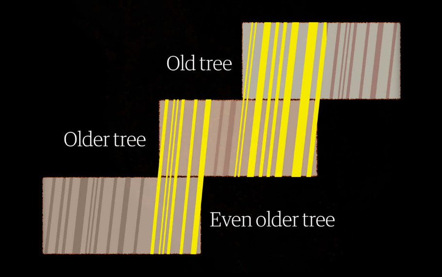 Southwestern Droughts Since 800 CE (as Shown by Tree Rings)