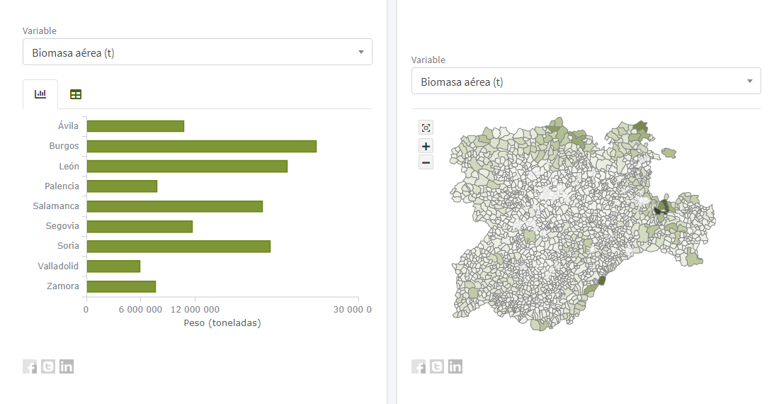 Bar charts and choropleth maps visualizing forestry data in the Nemus information system by Cesefor