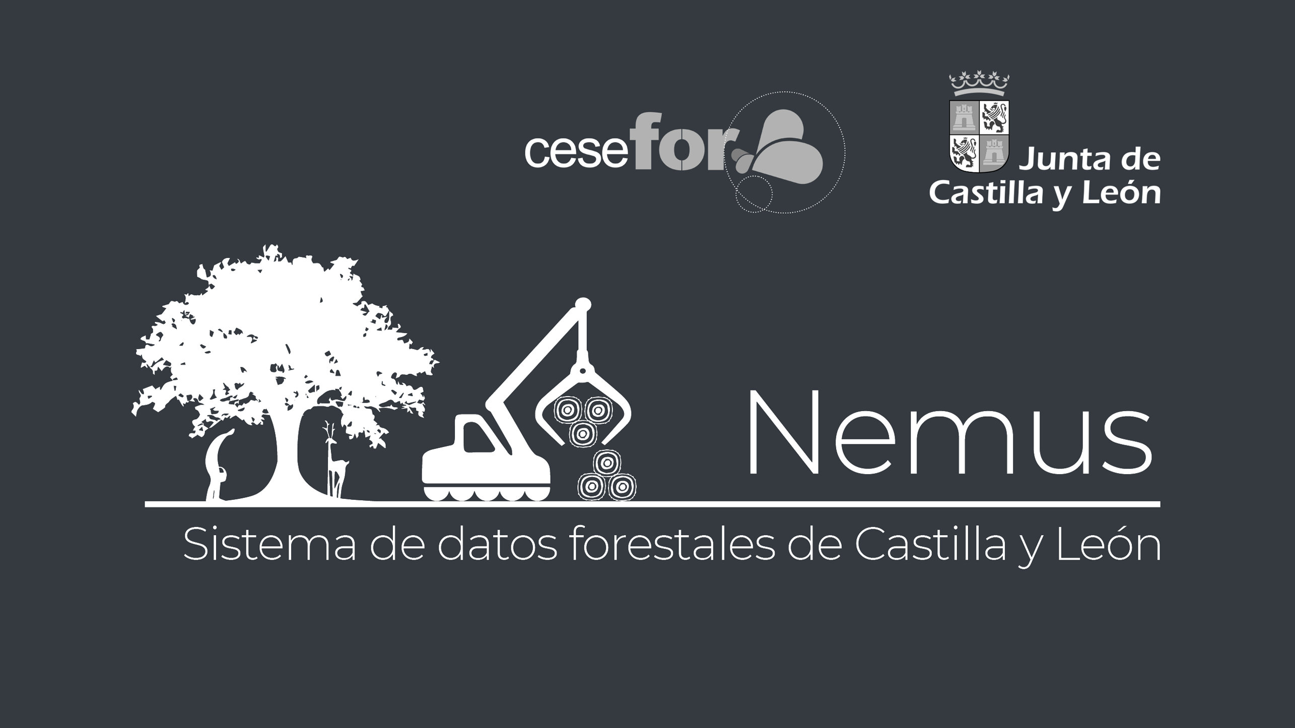 Nemus forestry data visualization system created by Cesefor in cooperation with Regional Government of Castile and Leon