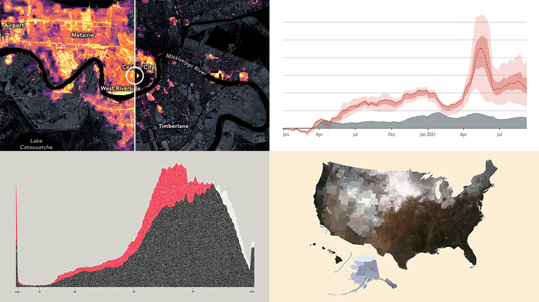 Snapshots of the two new projects visualizing mortality statistics and two new projects visualizing satellite imagery data overviewed in DataViz Weekly