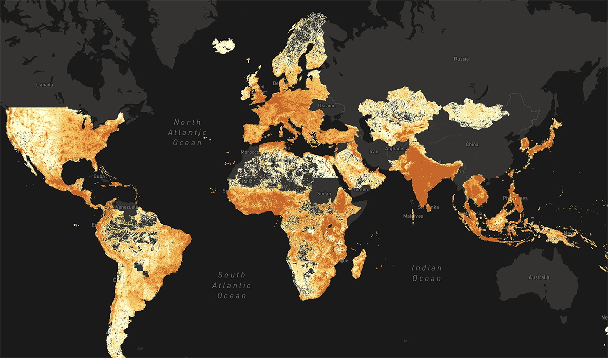 World Population Density