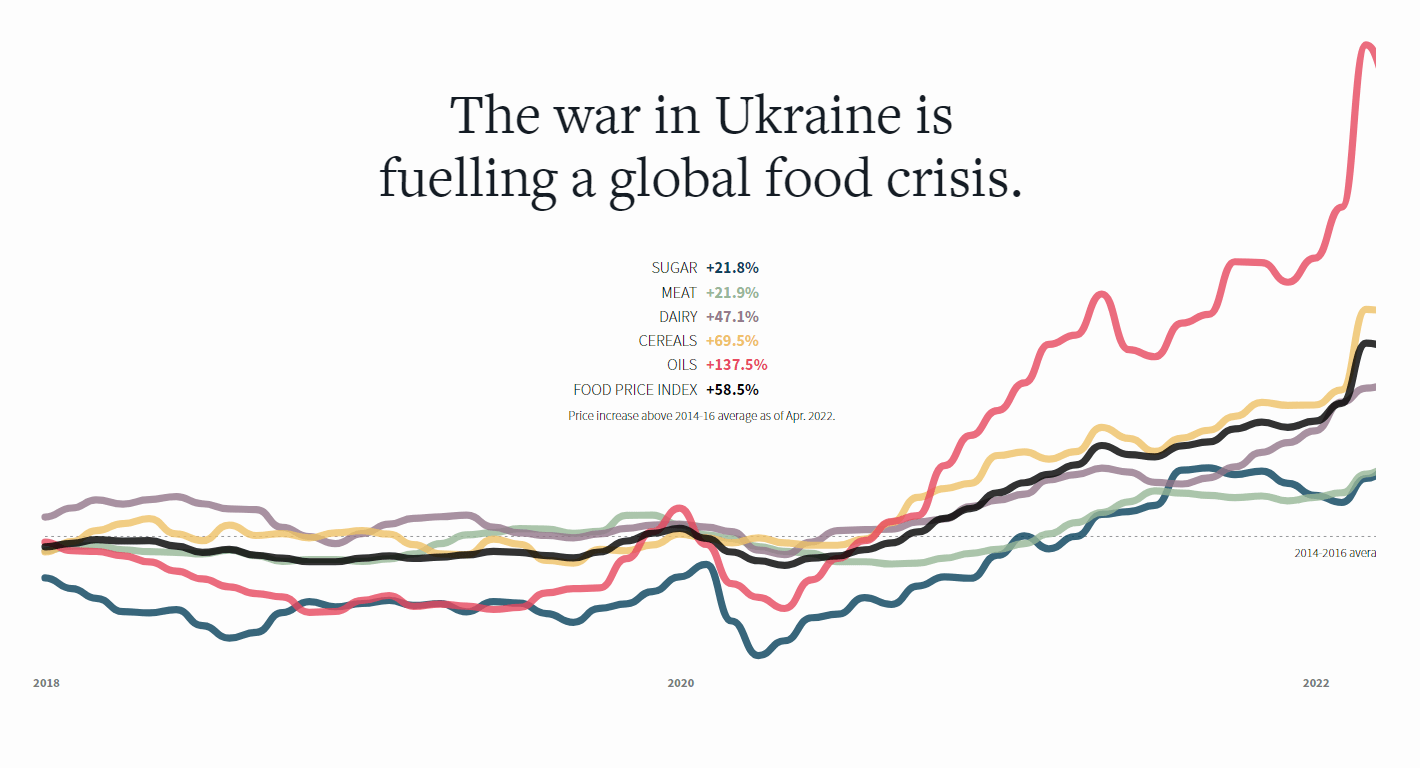 Global Food Crisis