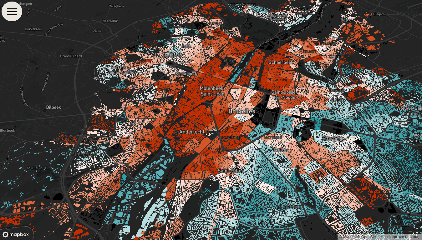 Inequality and Health in Brussels