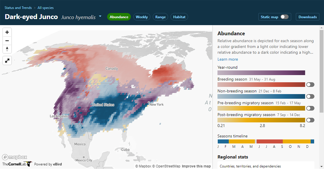 Bird Species Abundance