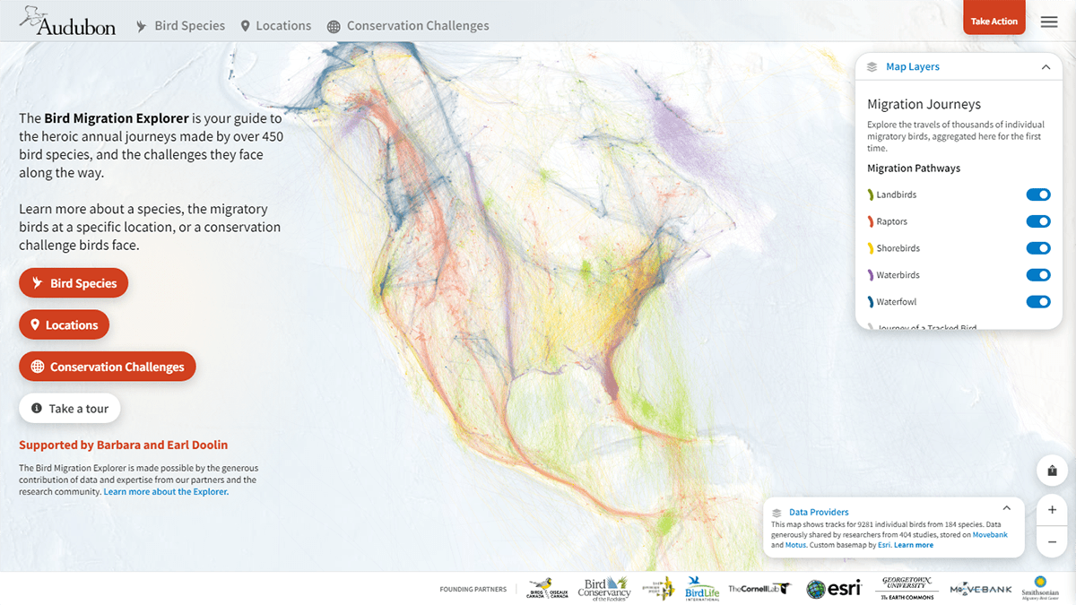 American Bird Migration