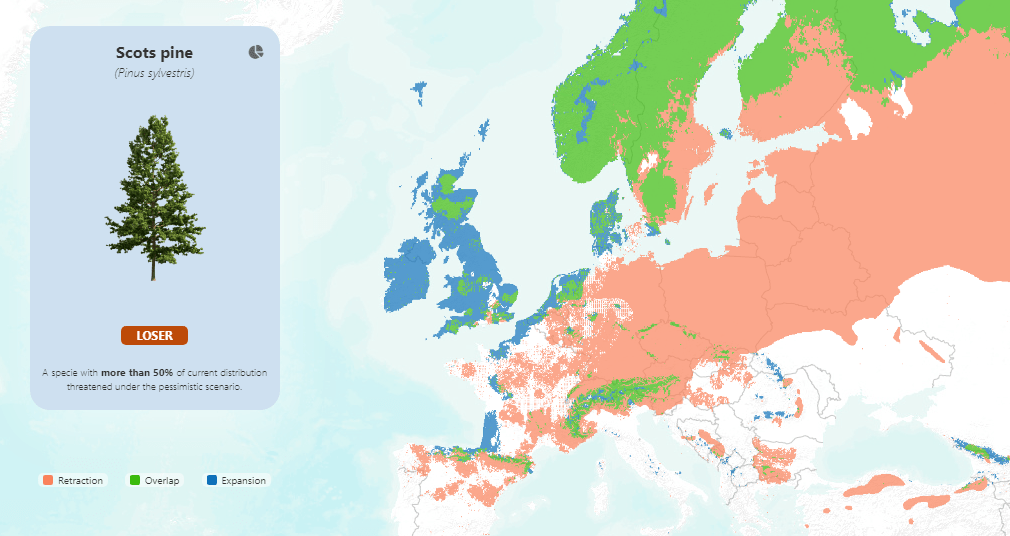 Future of European Forests Under Different Climate Scenarios