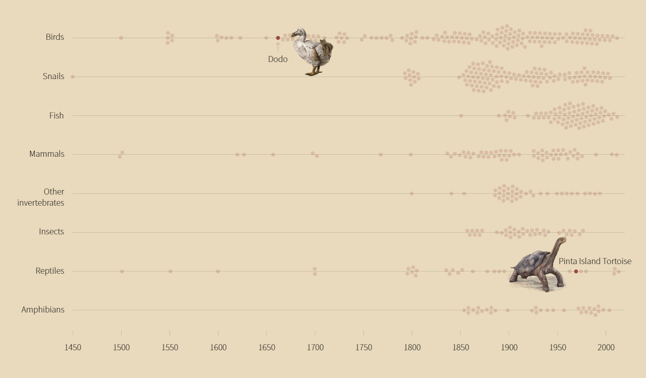 Animal Species Extinction Over Time