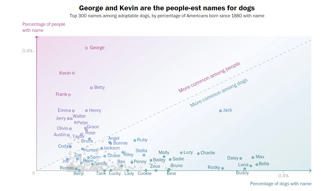 Top Human Names for Dogs