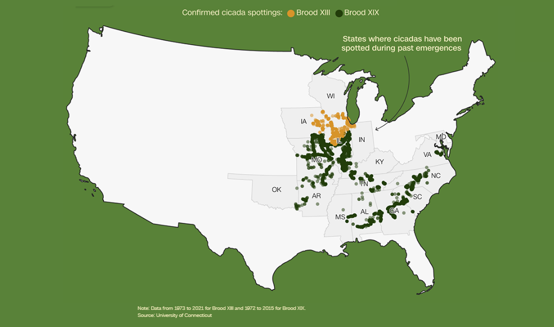 Tracking Historic Cicada Emergence 2024