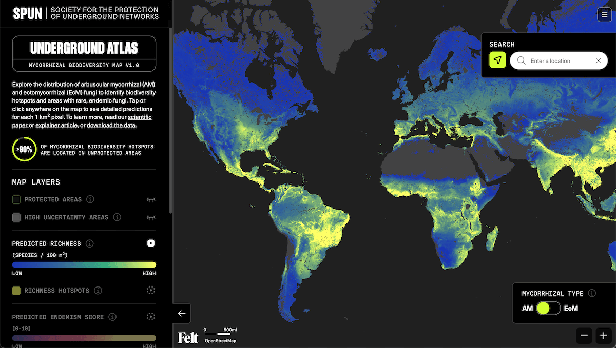 Global Underground Fungal Biodiversity