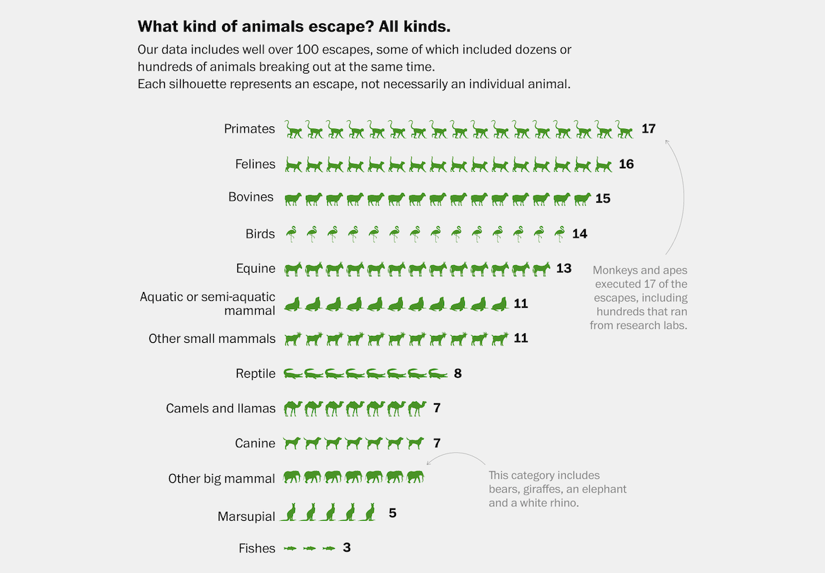 Zoo Escapes