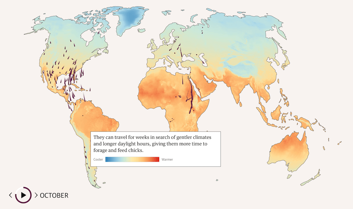 Visualizing Bird Journeys Amid Global Warming