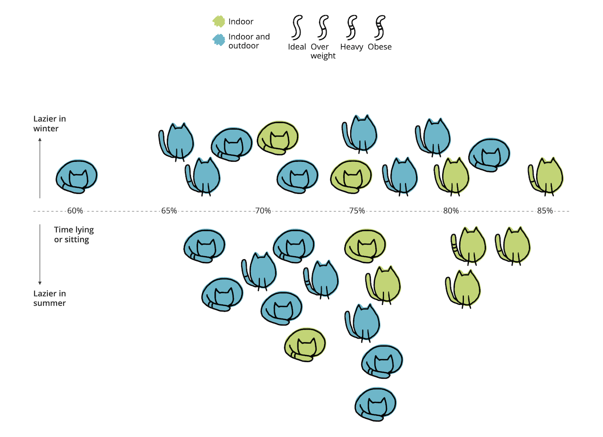 Visualizing Cats' Laziness