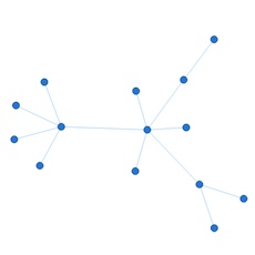 Network Graph